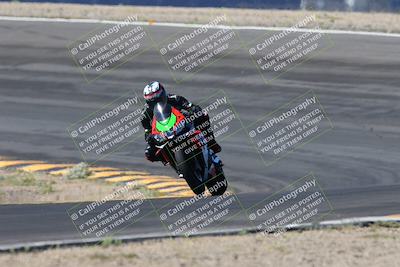 media/Apr-14-2024-SoCal Trackdays (Sun) [[70f97d3d4f]]/5-Bowl Exit (1020am)/